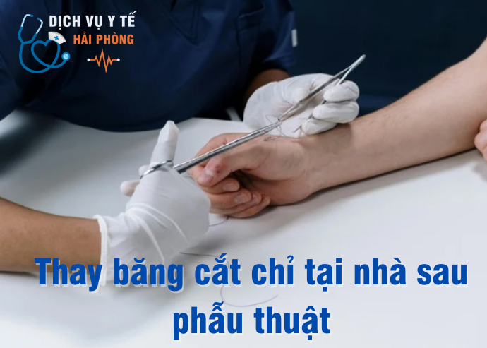 dich-vu-y-te-hai-phong